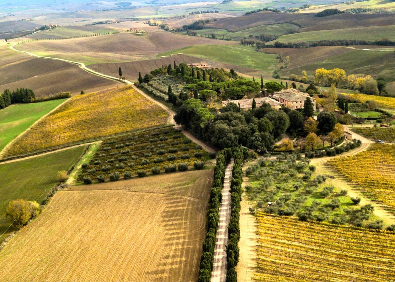 Villa Buonsignori - Wine & Olive Oil Farm Corsano  Εξωτερικό φωτογραφία