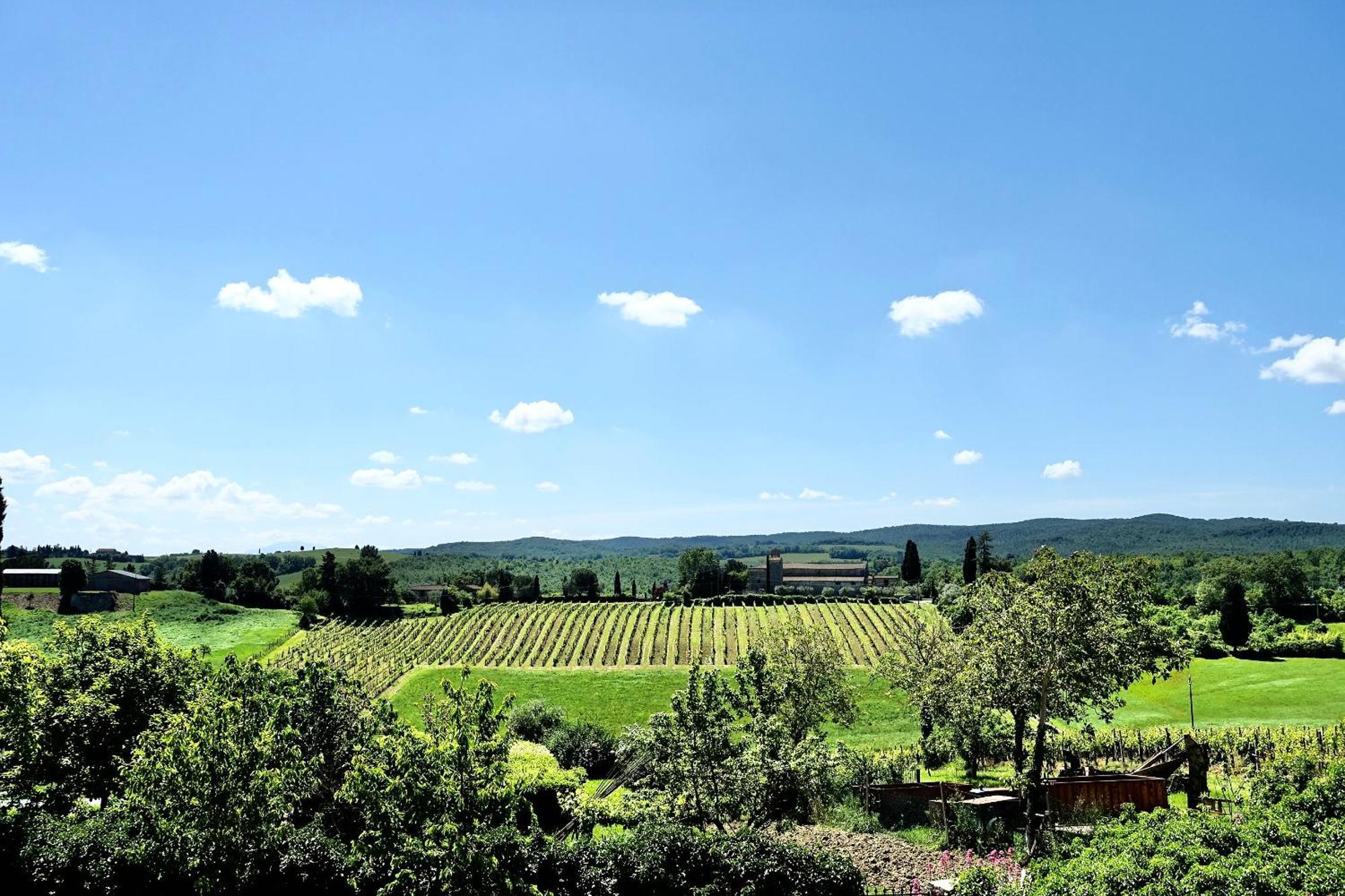 Villa Buonsignori - Wine & Olive Oil Farm Corsano  Εξωτερικό φωτογραφία